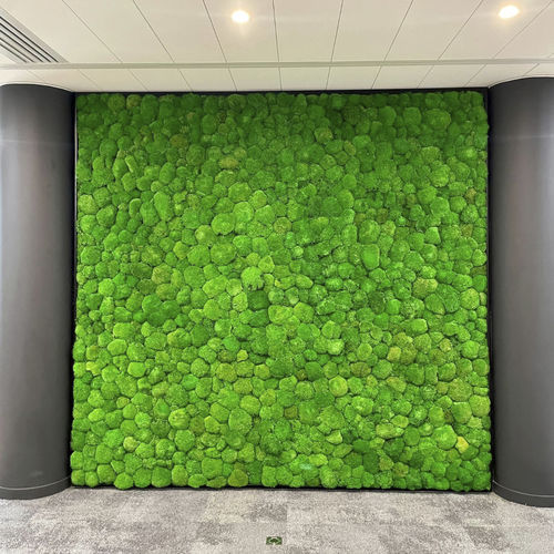 Preserved green wall - Végétal Indoor - custom / moss / indoor