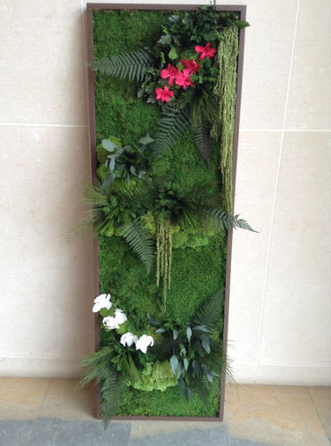 Preserved living frame - STABILIZED - PLANTE STABILISEE - in lichen / flower / indoor