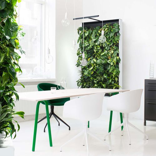 preserved green wall - NAAVA