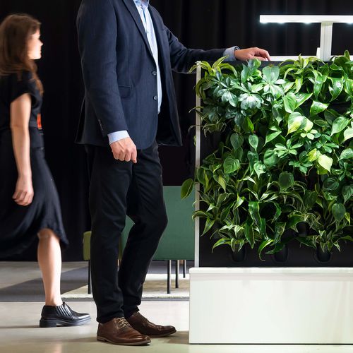 Preserved green wall - FLOW DUO - NAAVA - modular-panel / natural / indoor