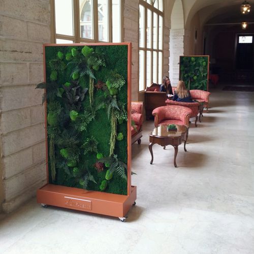 Preserved living frame - WING ON WHEELS - LinfaDecor - moss / in lichen / natural