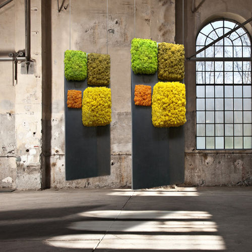 Preserved living frame - CUBIC - LinfaDecor - in lichen / indoor / outdoor