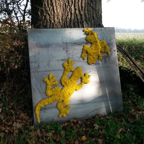 Preserved living frame - GECKO - LinfaDecor - in lichen / indoor / modular-panel