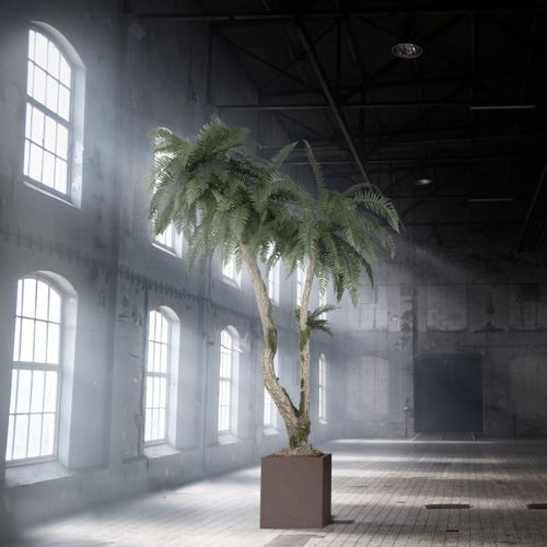 Preserved ornamental plant - FERN  - LinfaDecor - totem / tropical / indoor