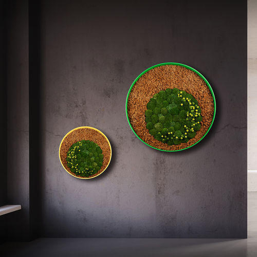 Preserved living frame - IRIDE - LinfaDecor - in lichen / indoor / wall-hung