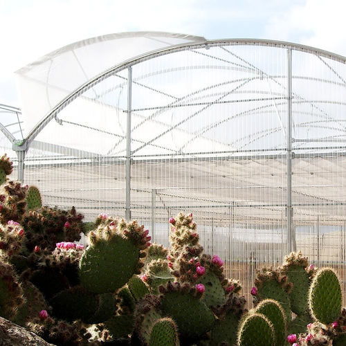Cellular polycarbonate sheet - ULMA Agricola - for greenhouse / curved