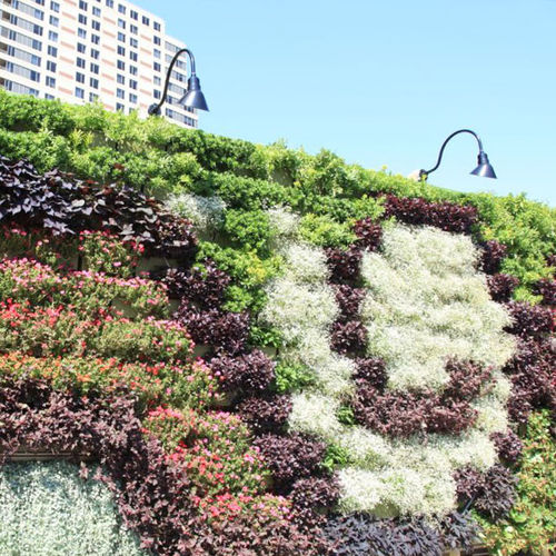 Green wall with live plants ARTPRIZE BACK TO EDEN LiveWall