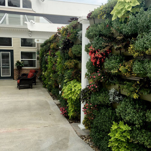 Green wall with live plants - DELAWARE OHIO - LiveWall - natural / outdoor