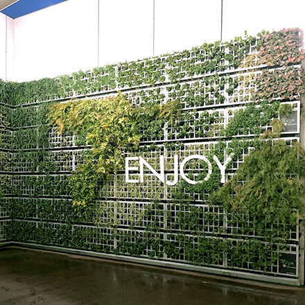 Preserved green wall - AG EN CRECIMIENTO - AIR GARDEN - natural / indoor