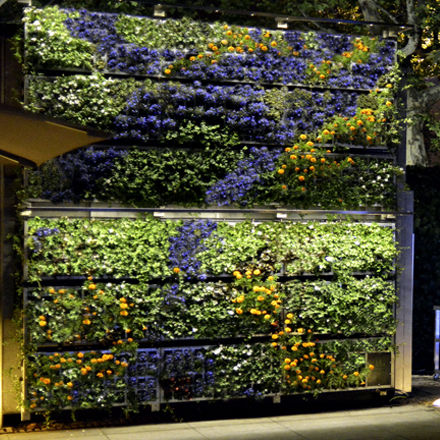 Preserved green wall - AG GUIMUR-REINA SOFIA - AIR GARDEN - flower / garden