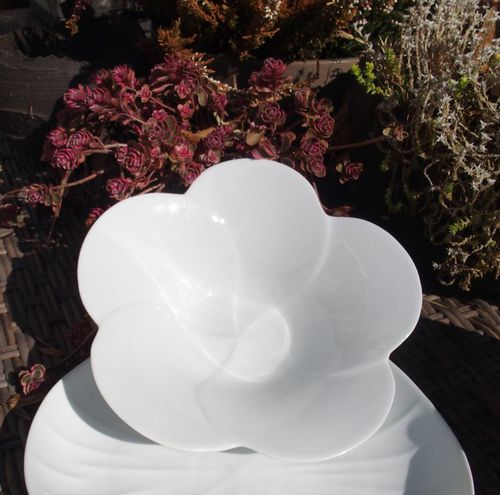 Limoges porcelain salad bowl - PÉTALE - Jacques Pergay