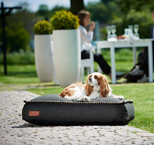 Pet dogs and cats cushion - DOGIT MEDIUM - SACKit - exterior / rectangular / plain