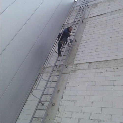 Metal cage ladder - RIMES - Ban-Inox
