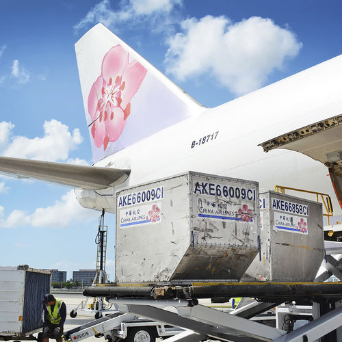 Work lifting platform - AIR CARGO - Dynalserg - maintenance / for construction site / professional