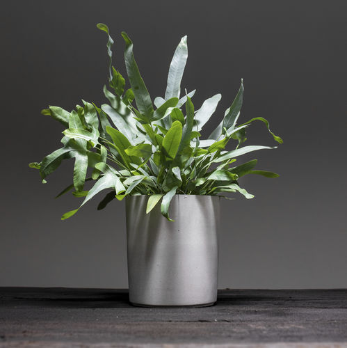 Concrete plant pot - SPICEPOT - urbanature - round / home / for public space