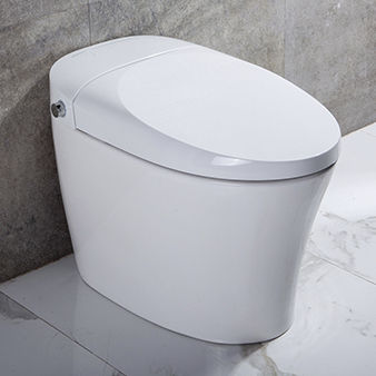 Washlet® toilet - TA-822ZA - Zhejiang Tejieer intelligent sanitary ware co.ltd - free-standing / ceramic / commercial
