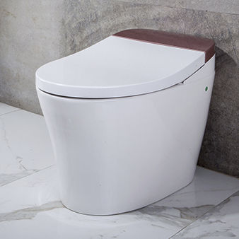 Smart toilet - TA-823ZA - Zhejiang Tejieer intelligent sanitary ware co.ltd - free-standing / ceramic / commercial