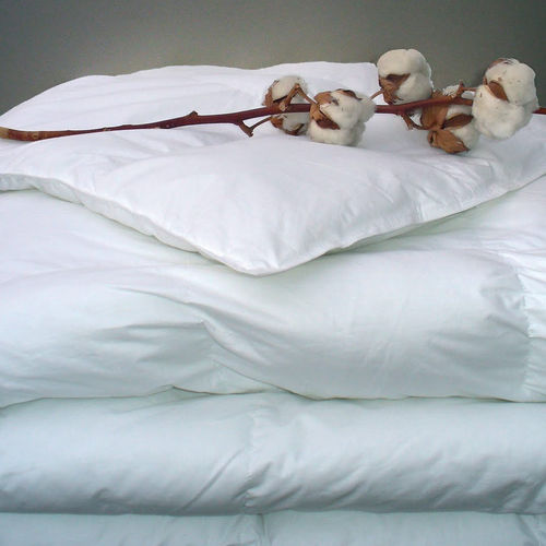 Microfiber quilt 41545;41546;41547;41548 GarnierThiebaut