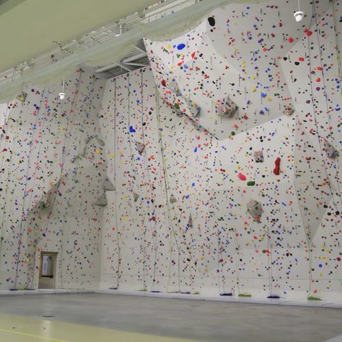 Fixed climbing wall - JEAN GACHET - ESCATECH - for public building / indoor