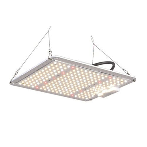 IP65 floodlight - LGLBO - kindom opto-electronic co.,ltd - LED / commercial / indoor