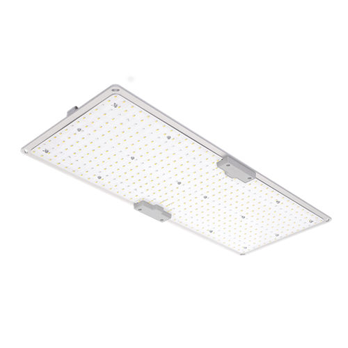 IP65 floodlight - LGLBO - kindom opto-electronic co.,ltd - LED / commercial / indoor