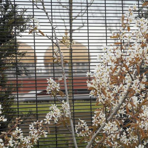 Welded mesh fencing - SECURIFOR 4D - Betafence International - for public spaces / galvanised steel / contemporary