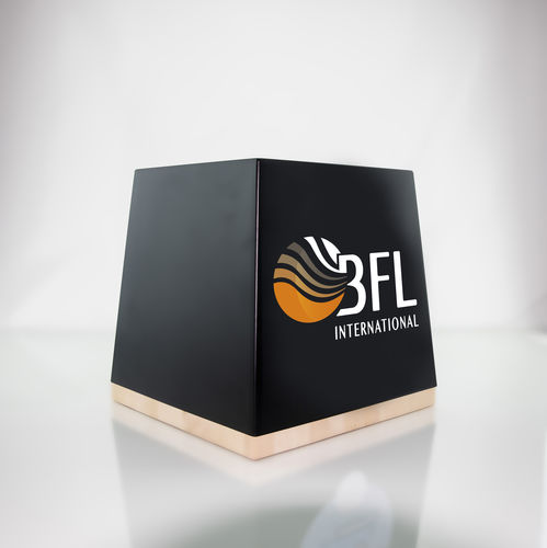 rising damp treatment system - BFL INTERNATIONAL