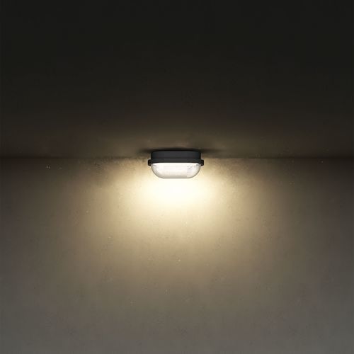 Surface-mounted light fixture - TORTUGA D03 - ING. CASTALDI ILLUMINAZIONE - LED / oval / IP65