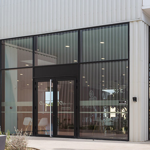 Entry door - 4500GT - Sepalumic - aluminum / swing / pivoting