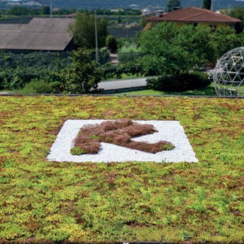 extensive green roof - Riverclack