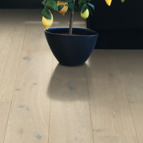 Engineered parquet floor - W1216-03572 - PERGO - oak / matte / lacquered