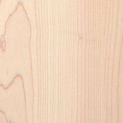 Fire-retardant wood panel - SYCAMORE T801 - OBERFLEX - high-resistance ...