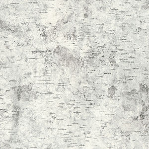 Cover decorative panel - BIRCHBARK - FORMICA - furniture / for interior / high-resistance