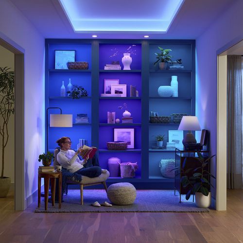 Flexible LED light strip - LU-TXX-RGBTW-IN - LUTRON ELECTRONICS