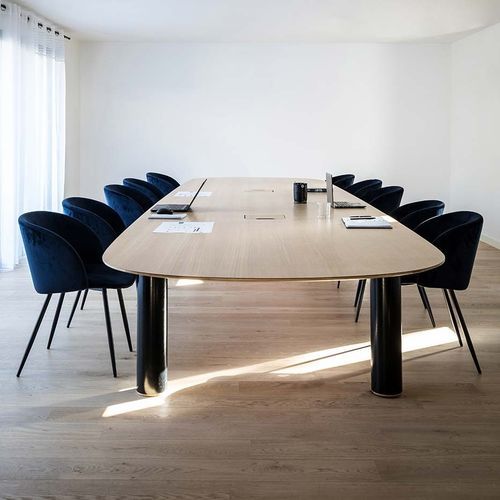 Contemporary boardroom table - Pilotis Bassin - Epsilon Composite - oak / with carbon base / oval