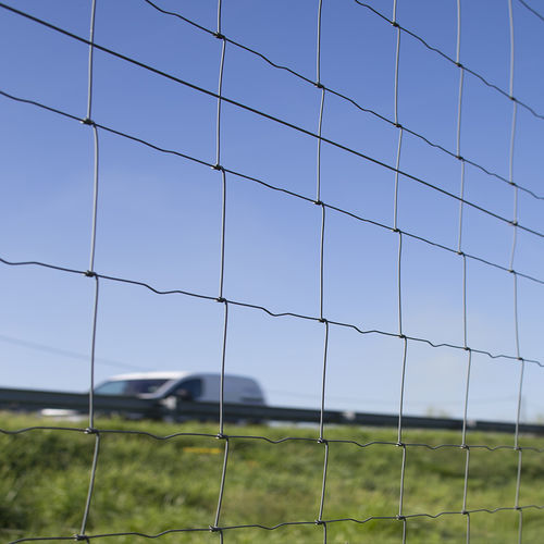 Galvanised steel wire mesh - NOUÉ - Quaglia Diffusion - for fencing / square mesh / roll
