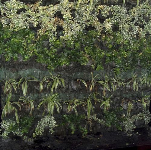 Green wall with live plants - VERTICAL GARDENS  - ecohousesystem - modular-panel / natural / flower