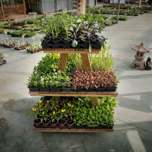 Plant display rack - 600001 - Hortalia - wooden / four-faced / 3-shelf