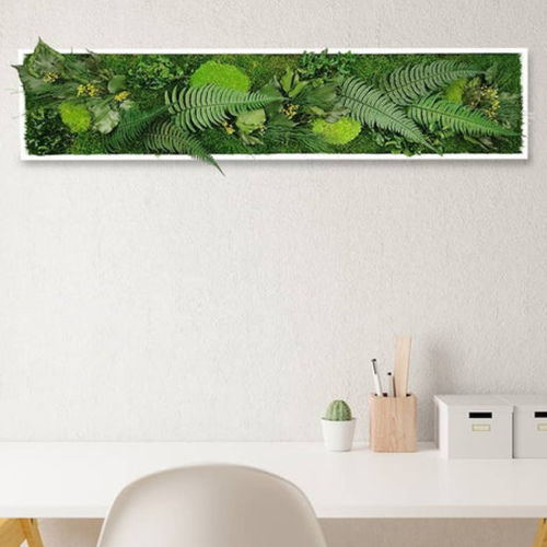 Preserved living frame - ELEGANCE 25X115 - naturall green - natural / foliage / flower