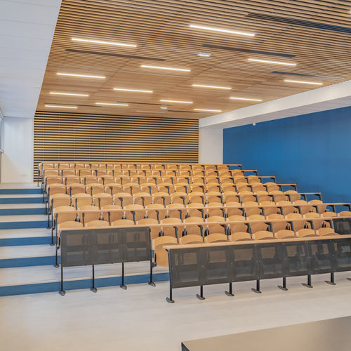 False ceiling acoustic panel - WL H6 38 - Woodslines - hanging / solid wood / oak