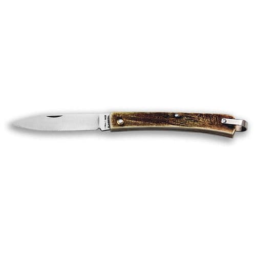 Pocket knife with horn handle - Ghiandina Ring - COLTELLERIE BERTI - with stainless steel blade