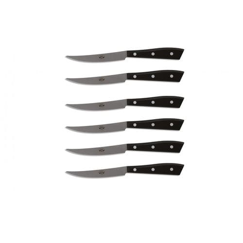 Steak knife with PMMA handle - 7 Series - COLTELLERIE BERTI - with stainless steel blade