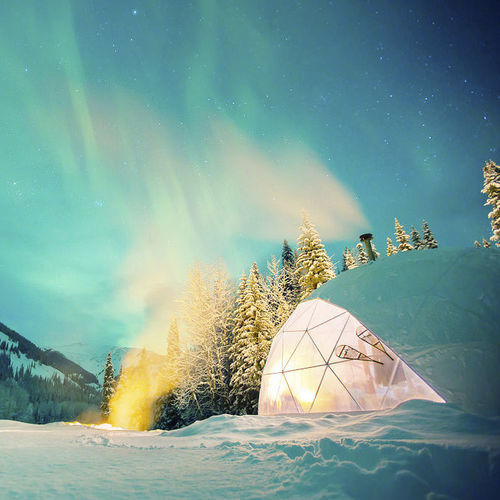 Round bubble tent - GEODESIC G-8 - Free Home - PVC / galvanised steel / transparent