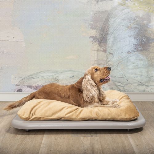 solid wood dog bed - LABILLA
