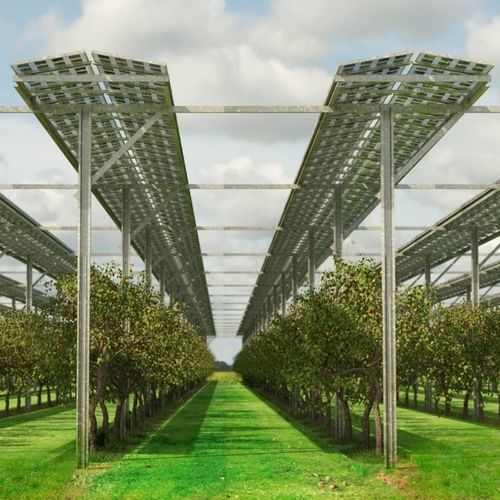 Ground-mount mounting system - FlexAgri Fruit - voestalpine Sadef nv - solar / for photovoltaic panels