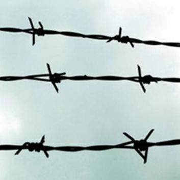 Barbed wire - SICOTREM
