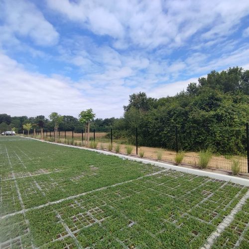 Tree vegetation structure - VEGETEK - for shrubs / modular / for public space