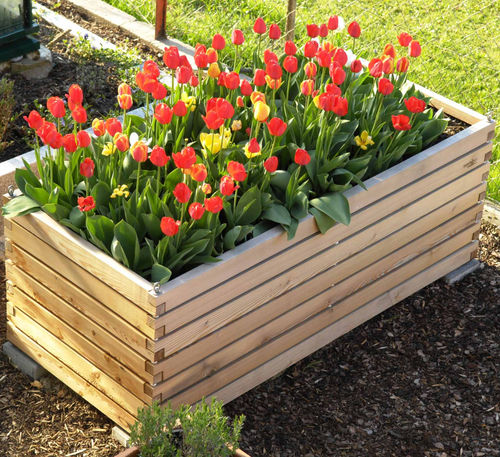 Larch garden planter - Gartenfrosch GmbH - home / outdoor / with integrated watering