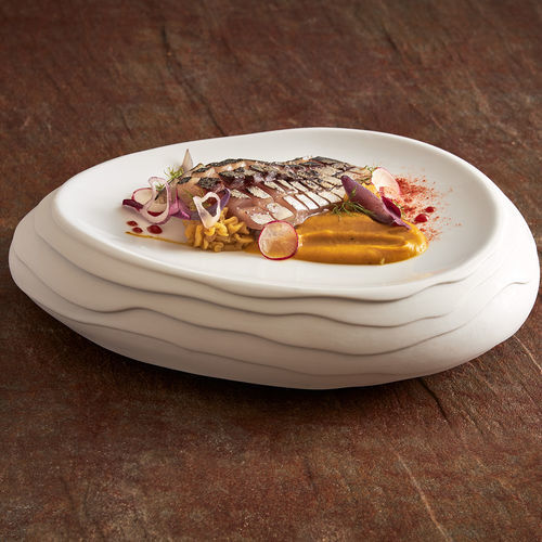 Flat plate - Terra : 067000400001 - COSTA VERDE - oval / porcelain / commercial