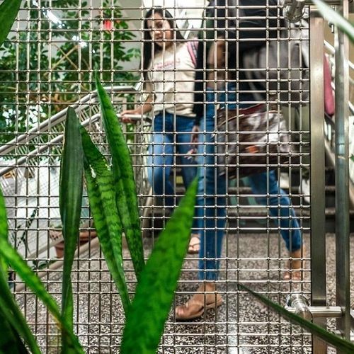 Stainless steel wire mesh - METART-WW48A - Metart Building Tech Co.,Ltd - for railing / for fencing / for facade